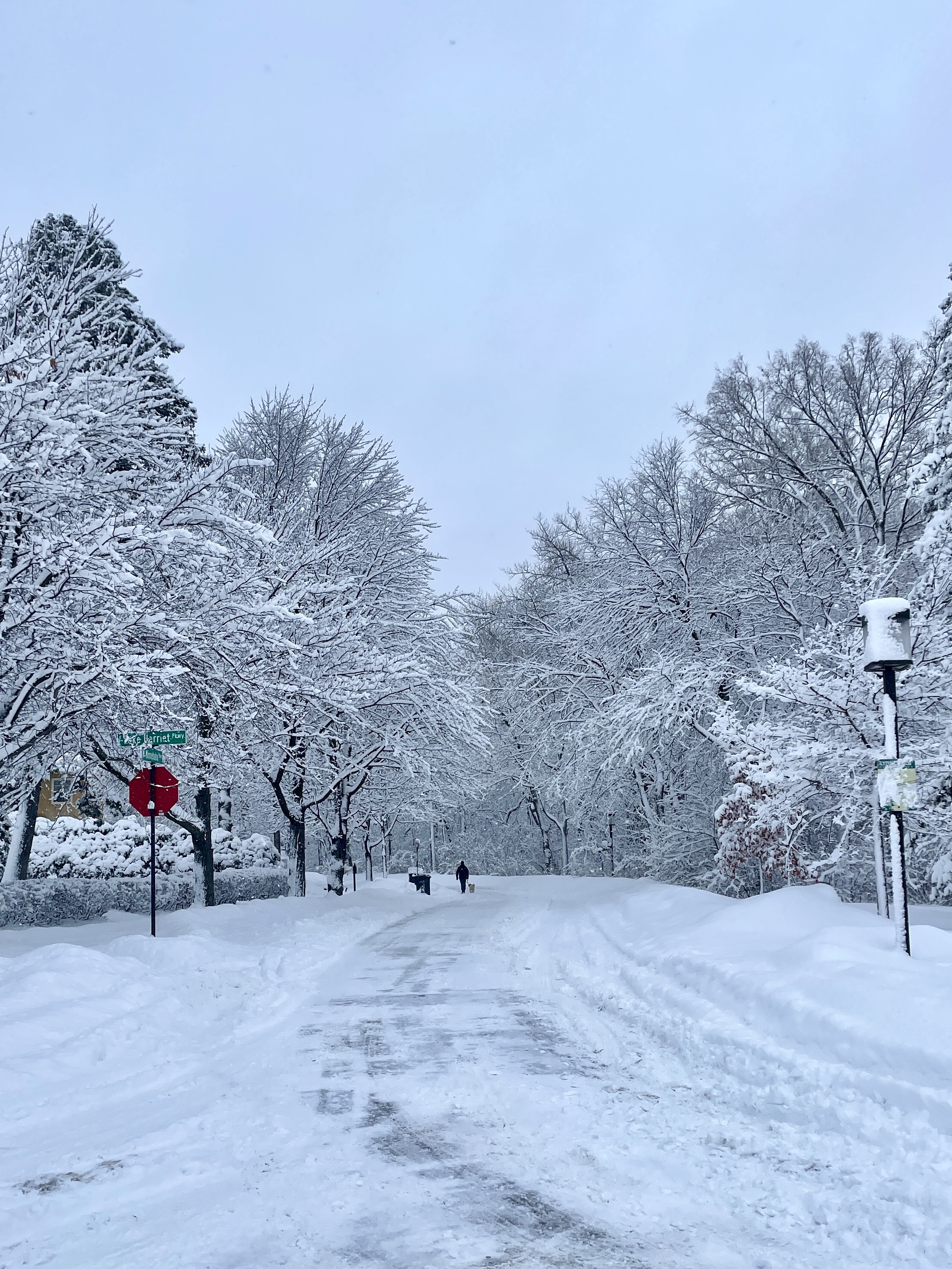 5 Reasons I Love Winter in Minneapolis