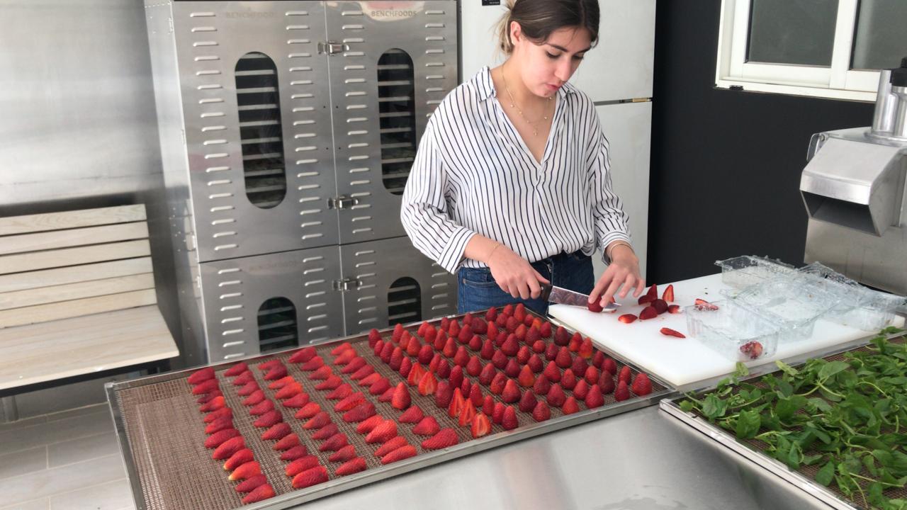 Benchfoods Dehydrating Strawberries