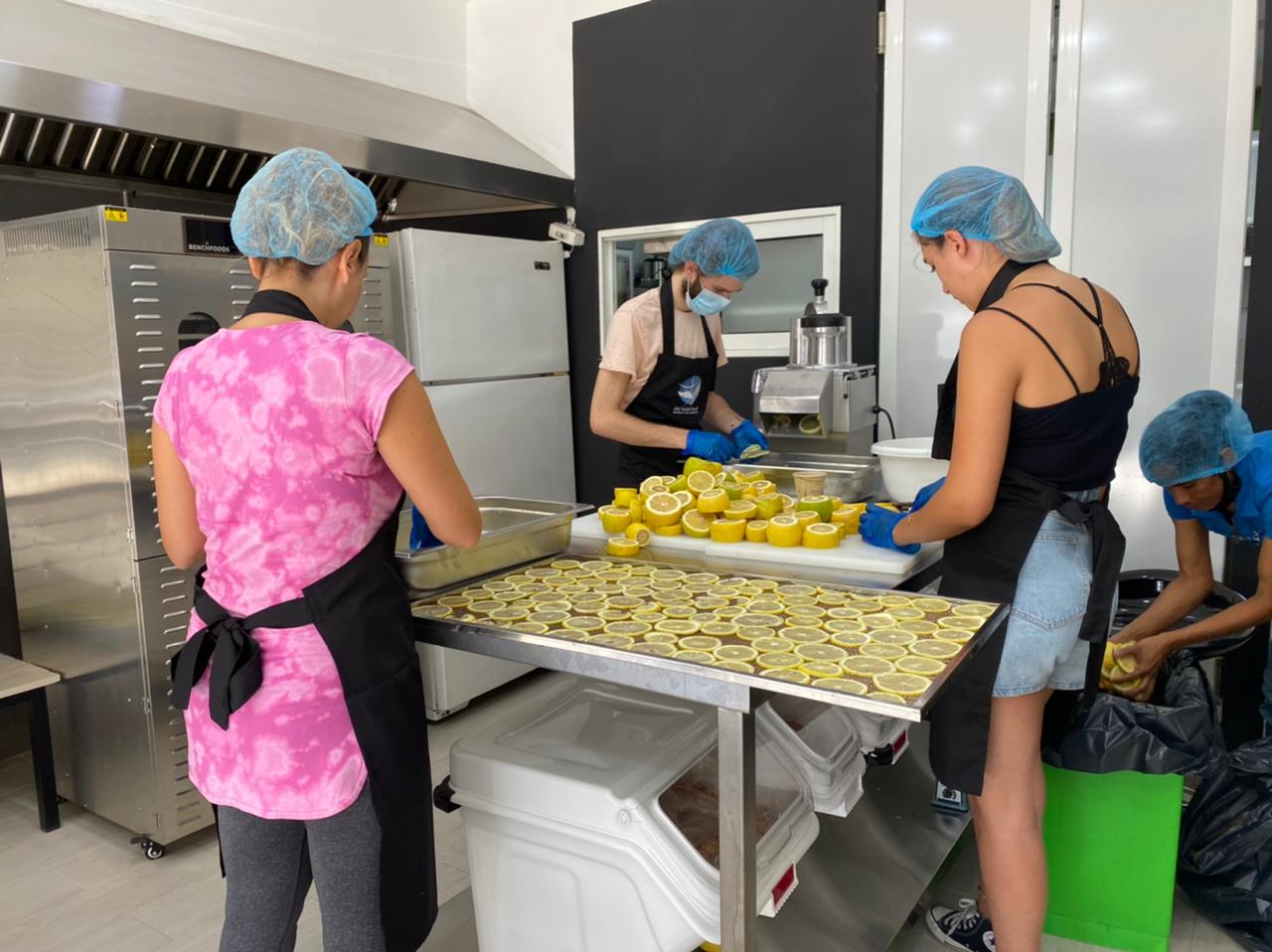Dehydrating Lemons with Benchfoods Commercial Dehydrator