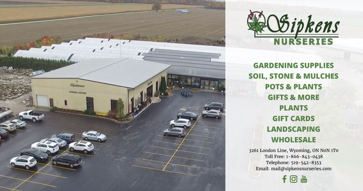 Sipkens Nurseries Sarnia Helping Your Garden Grow.