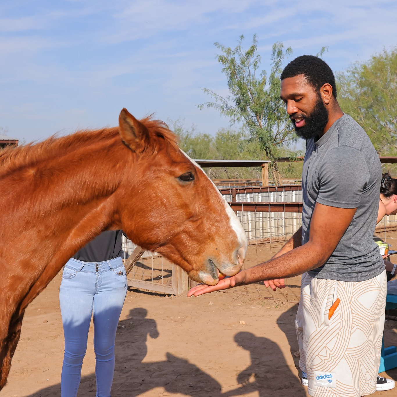 Yaqui Animal Rescue About Us