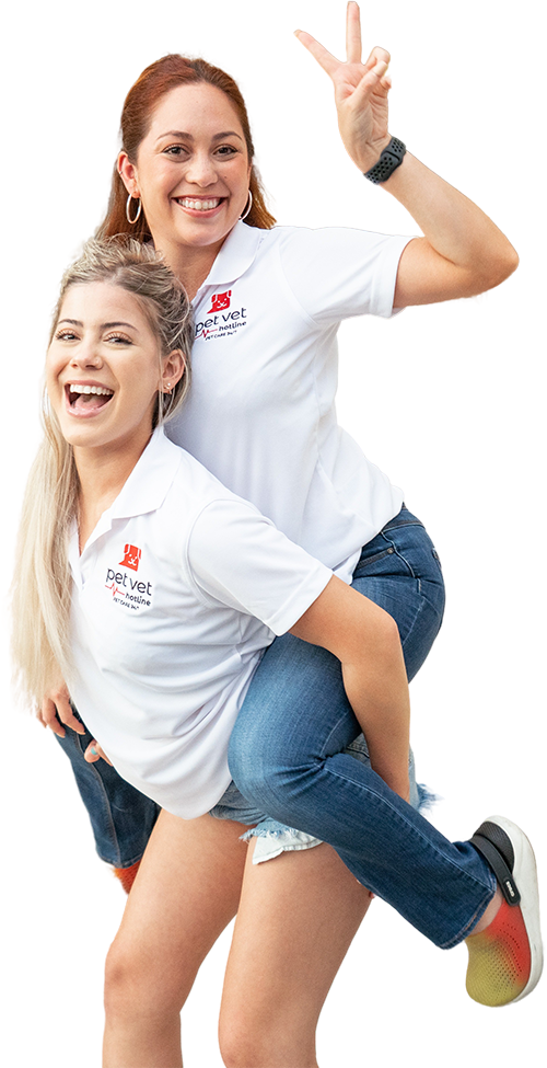 Pet Vet Hotline™ Talk To A Veterinarian Online In Seconds