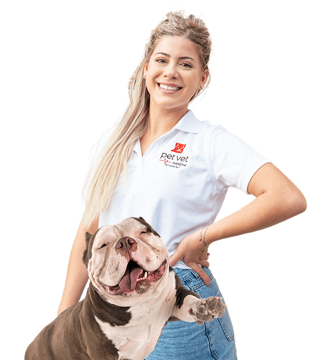 Pet Vet Hotline™ Talk To A Veterinarian Online In Seconds