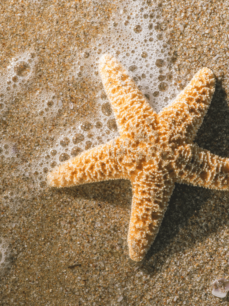 21 Aquamarine 2006 Movie Quotes Perfect For A Beachy Instagram Caption 21 Aquamarine 2006 Movie Quotes Perfect For A Beachy Instagram Caption