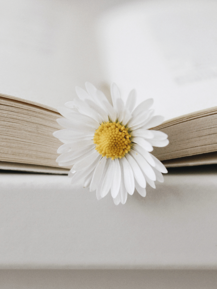 The Unexpected Power Of 20 Books In My Bedroom - nbbyvli