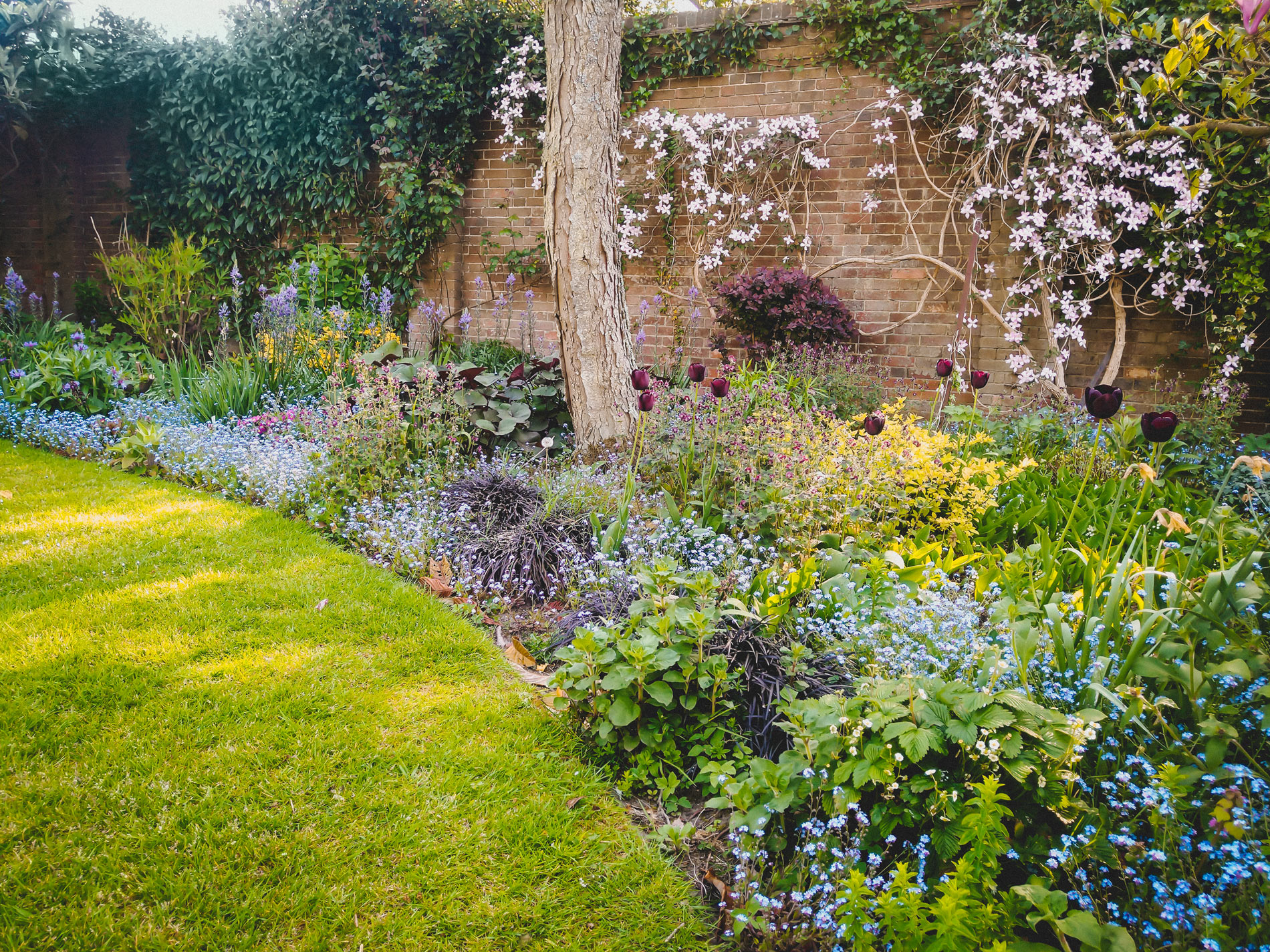 The Spirit of the Garden UK Regenerative Gardening