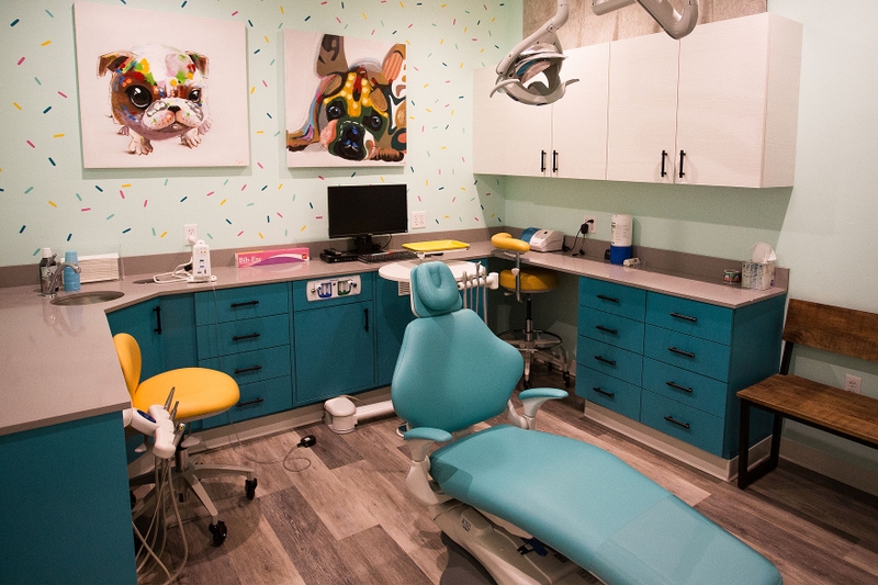 Swish Pediatric Dentistry Myrtle Beach Dentist