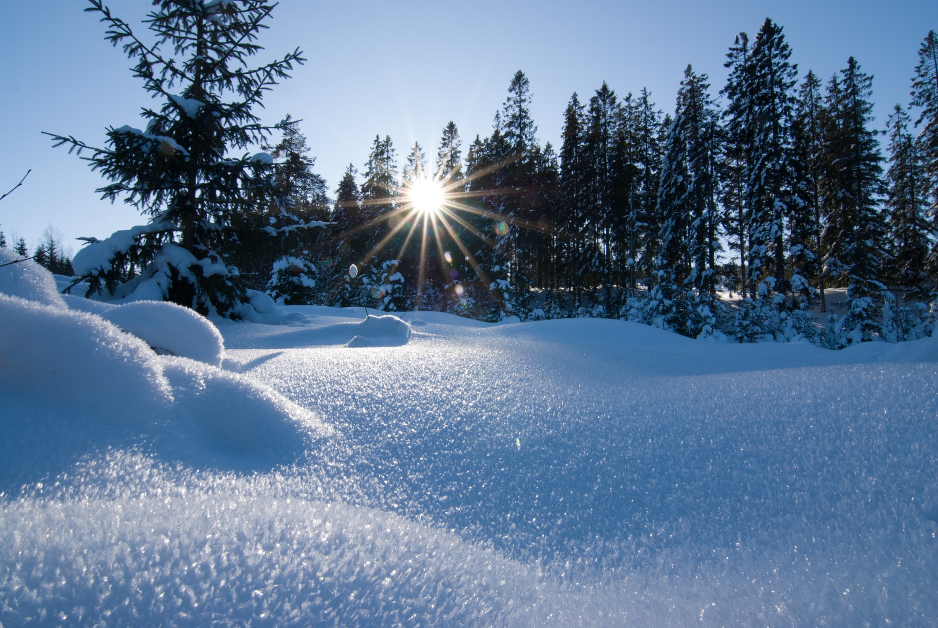 A snow covered landscape.