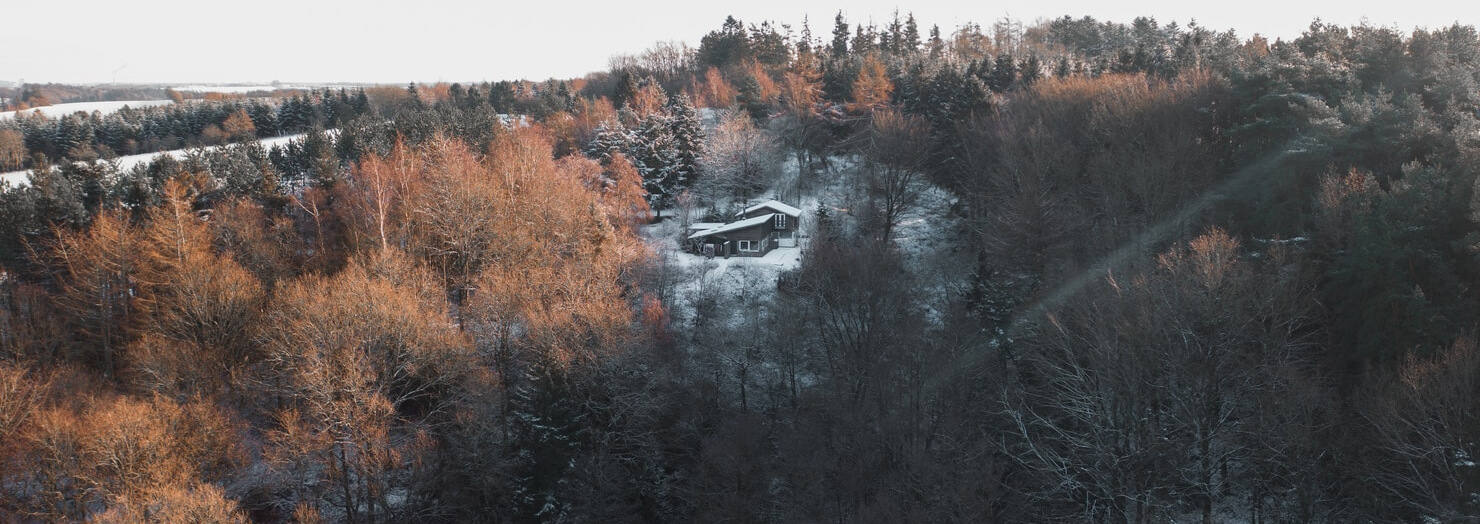 House inside a forest