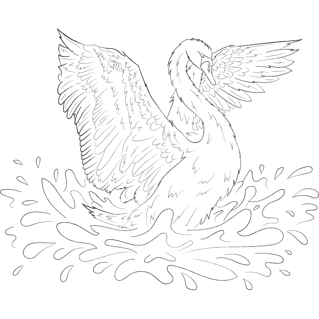 Lind drawing of Swan