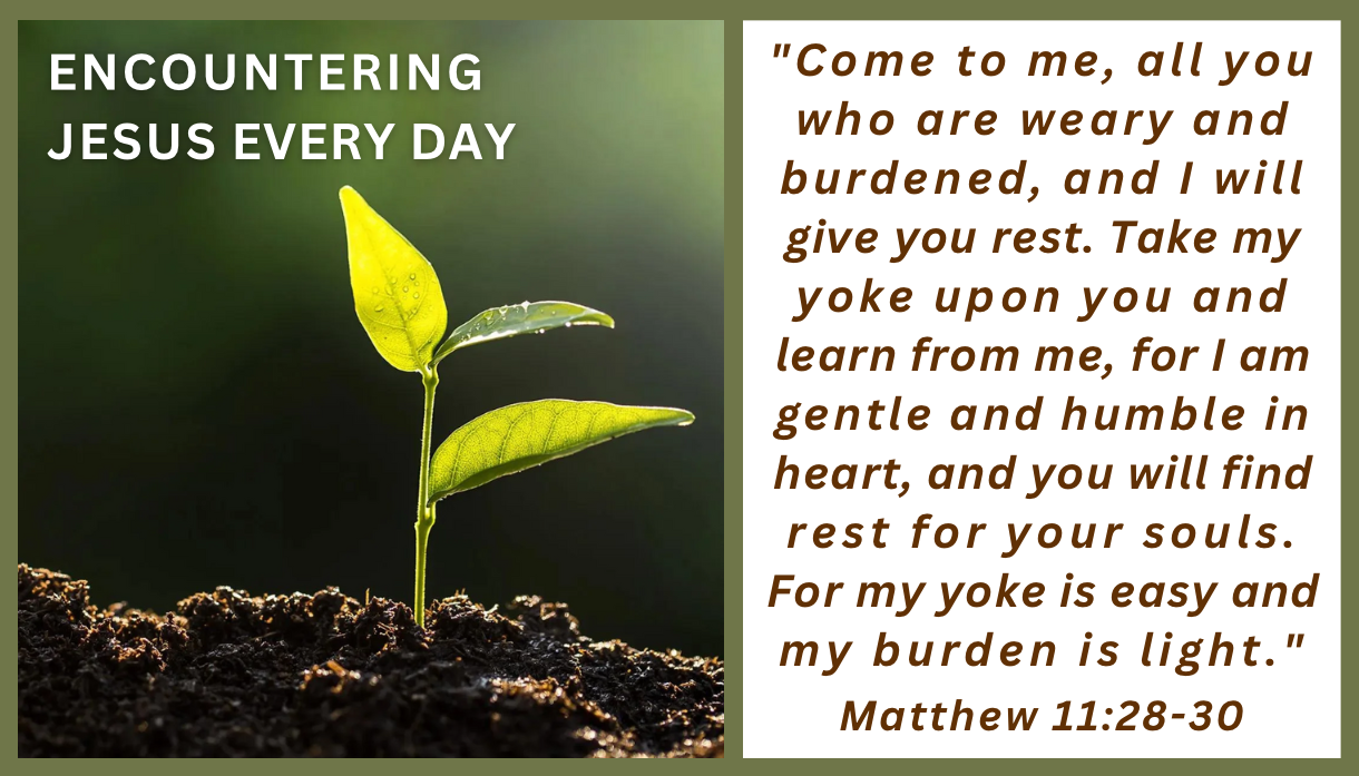 weavy-Gemini 3 (Nano Banana Pro)-2026-01