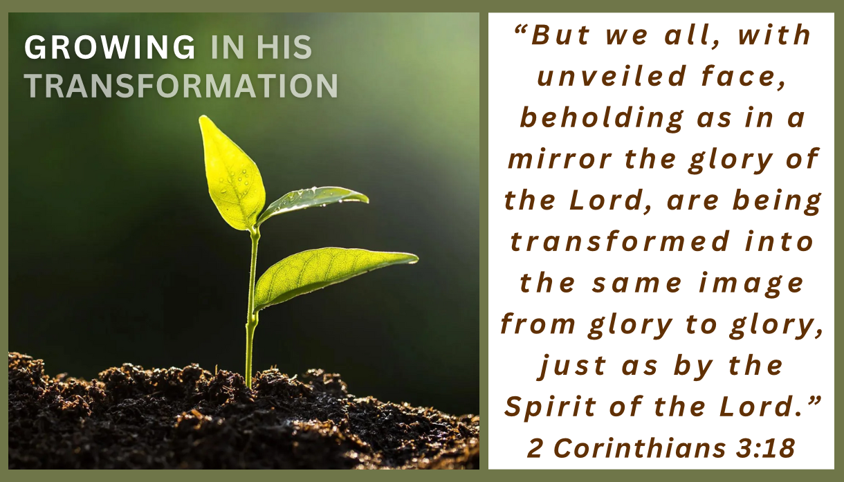 weavy-Gemini 3 (Nano Banana Pro)-2026-01