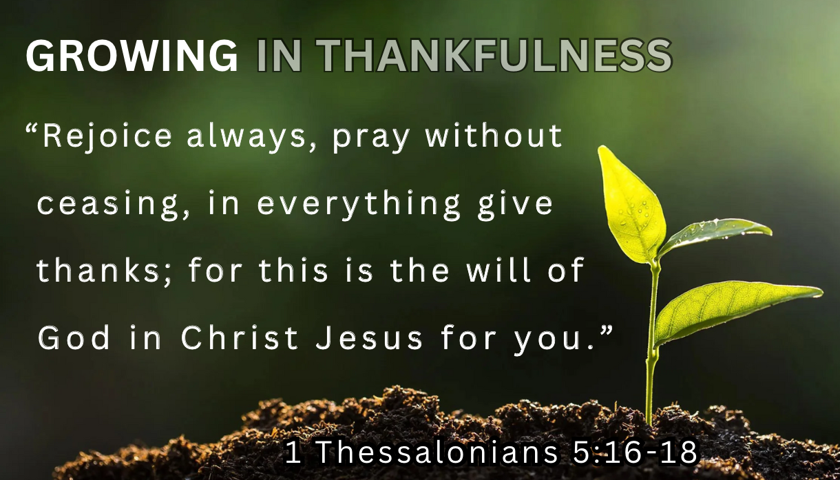 weavy-Gemini 3 (Nano Banana Pro)-2026-01