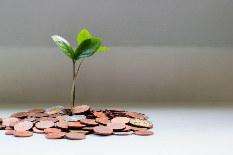 green sprout coming out of pile of change | 8 Types of Small Business Loans & How They Work
