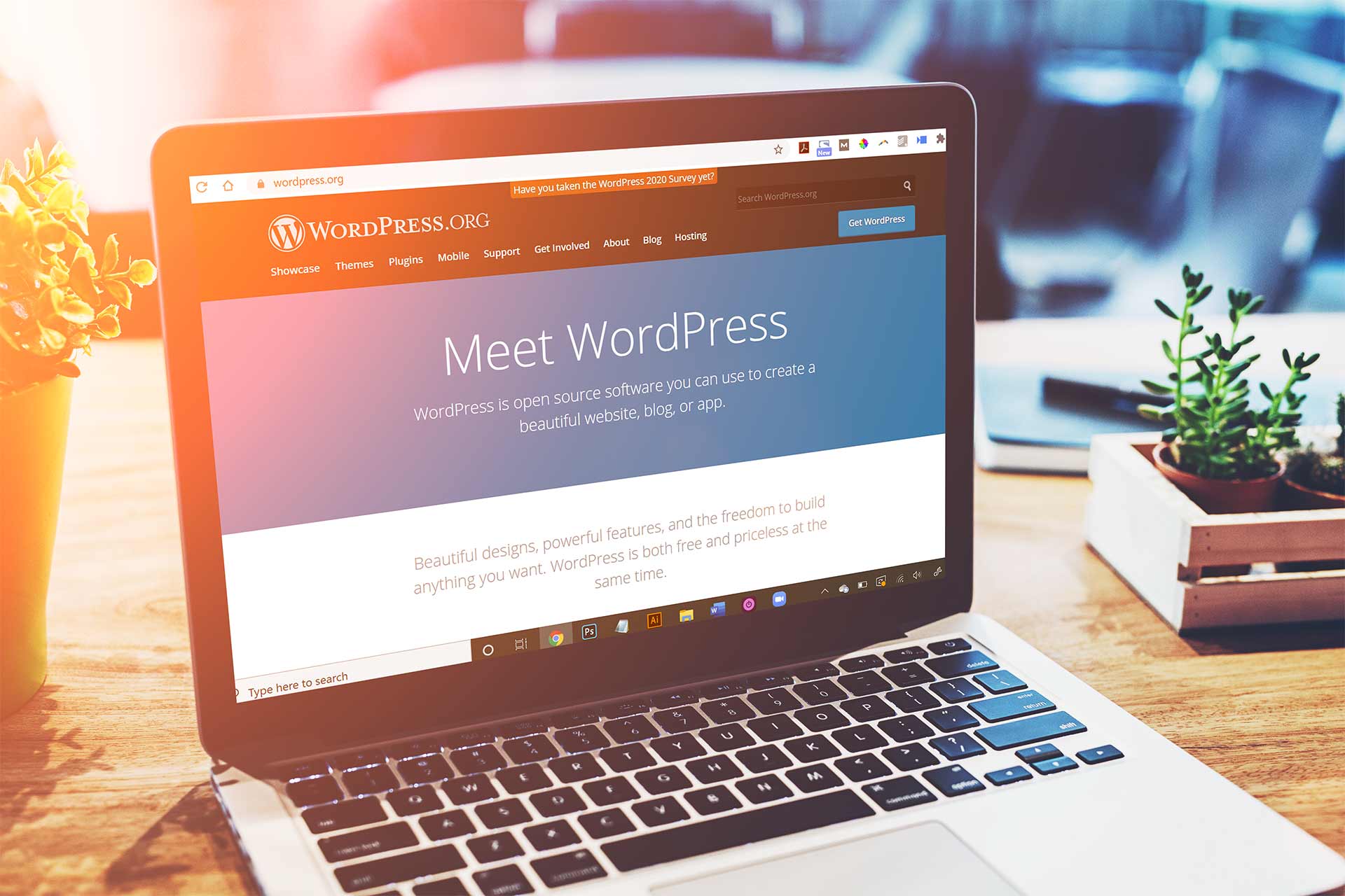 Unleashing the Power of WordPress | Alignable