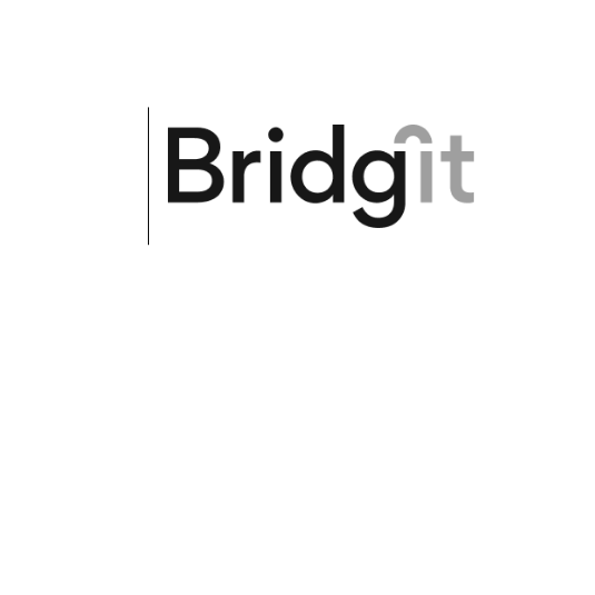 Bridgit Company Logo