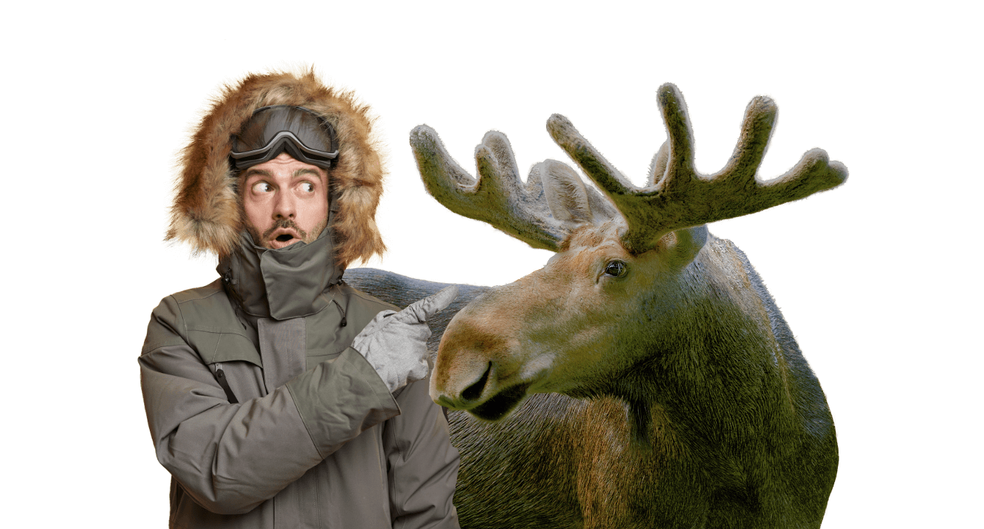 man pointing at a moose