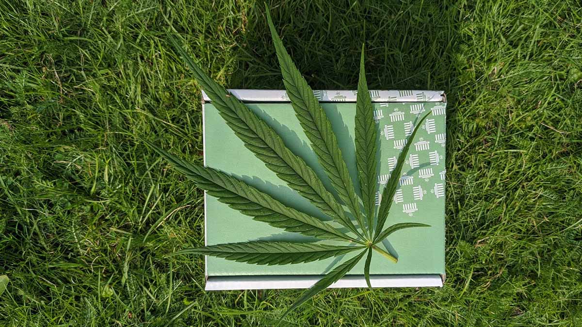 As cannabis evolves, so does the potential for a brand to reach mainstream recognition. But not without help.|As cannabis evolves, so does the potential for a brand to reach mainstream recognition. But not without help. |As cannabis evolves, so does the potential for a brand to reach mainstream recognition. But not without help. |