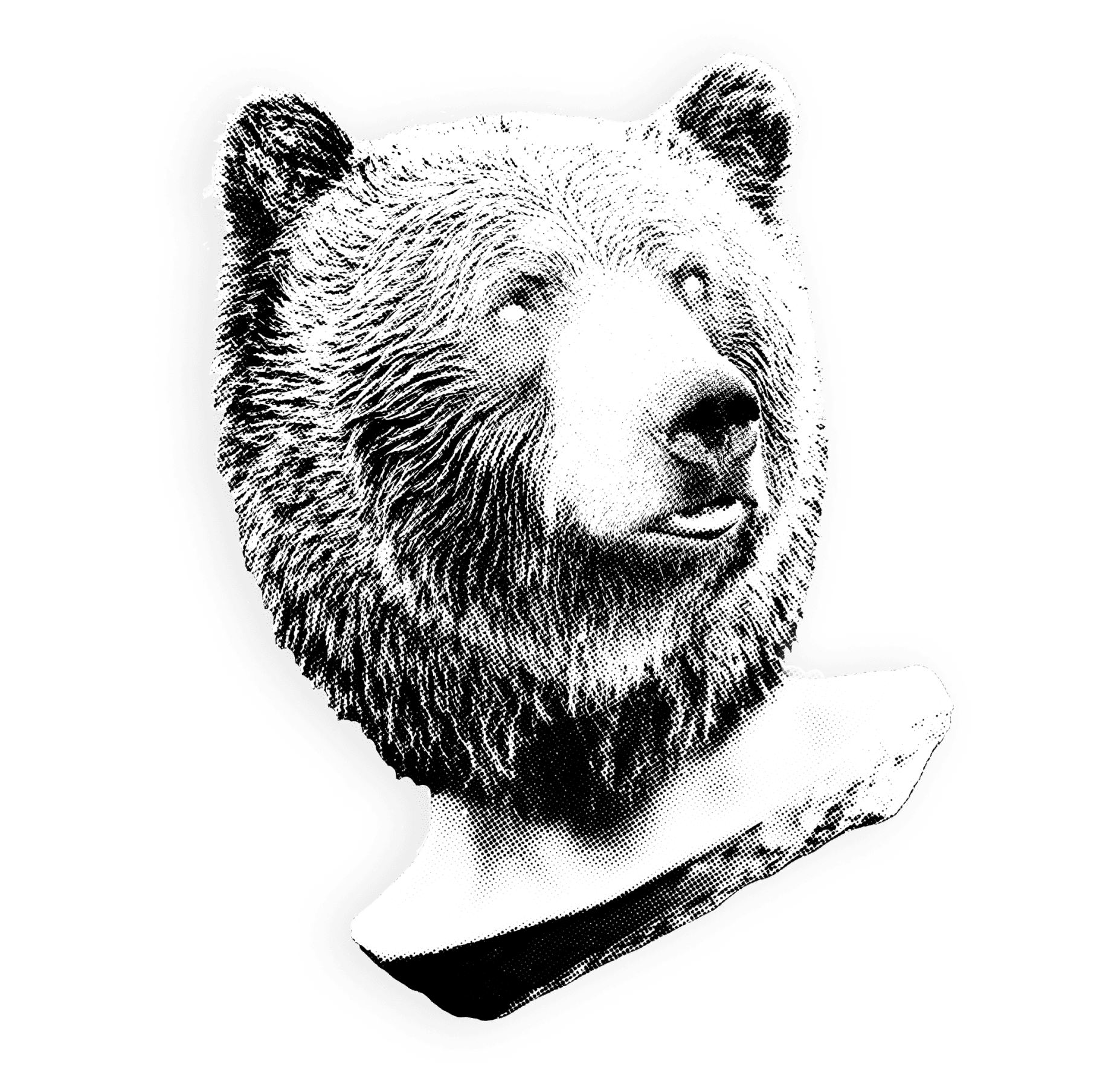 Bear head