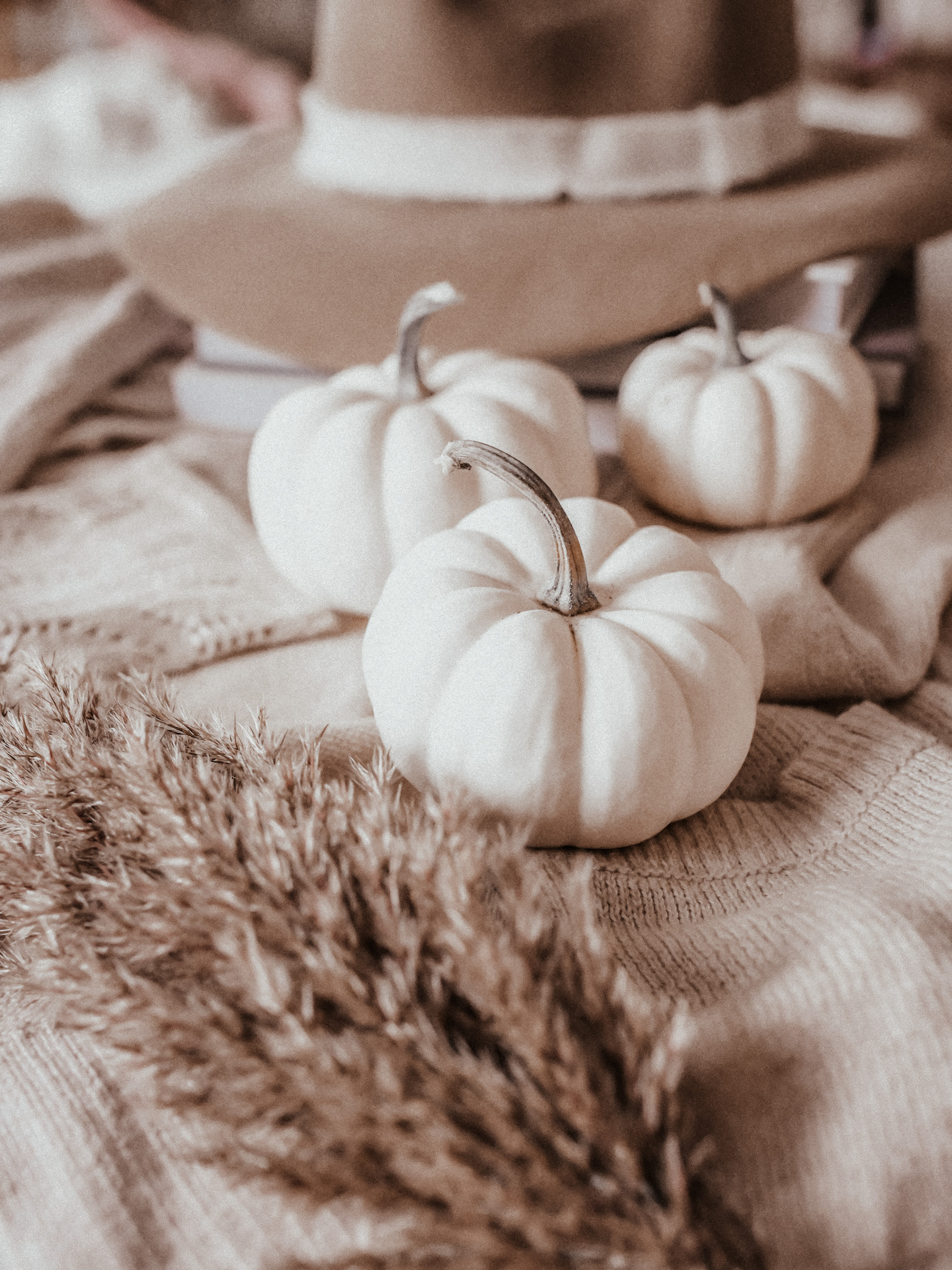 inspiration automnale citrouille blanche cosy mood jade oceane blogueuse lifestyle france