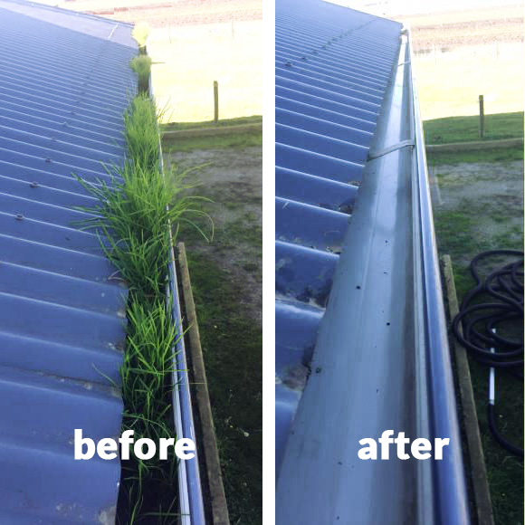 Bendigo Gutter Cleaning