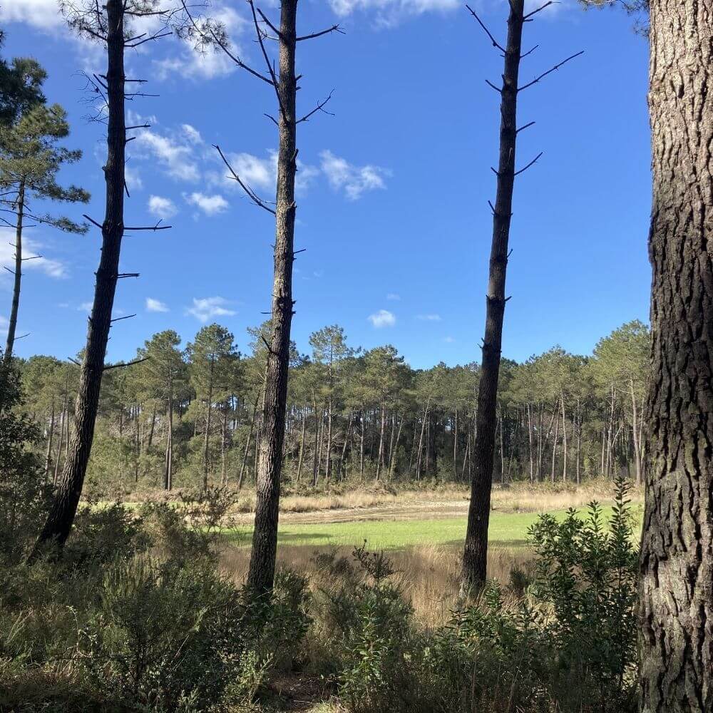 photo lieux break in landes
