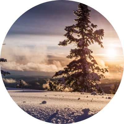 Winter Saison