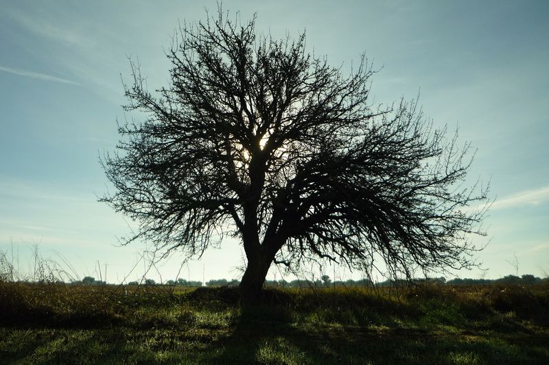 How The SIBAM Model Can Help You Overcome Trauma