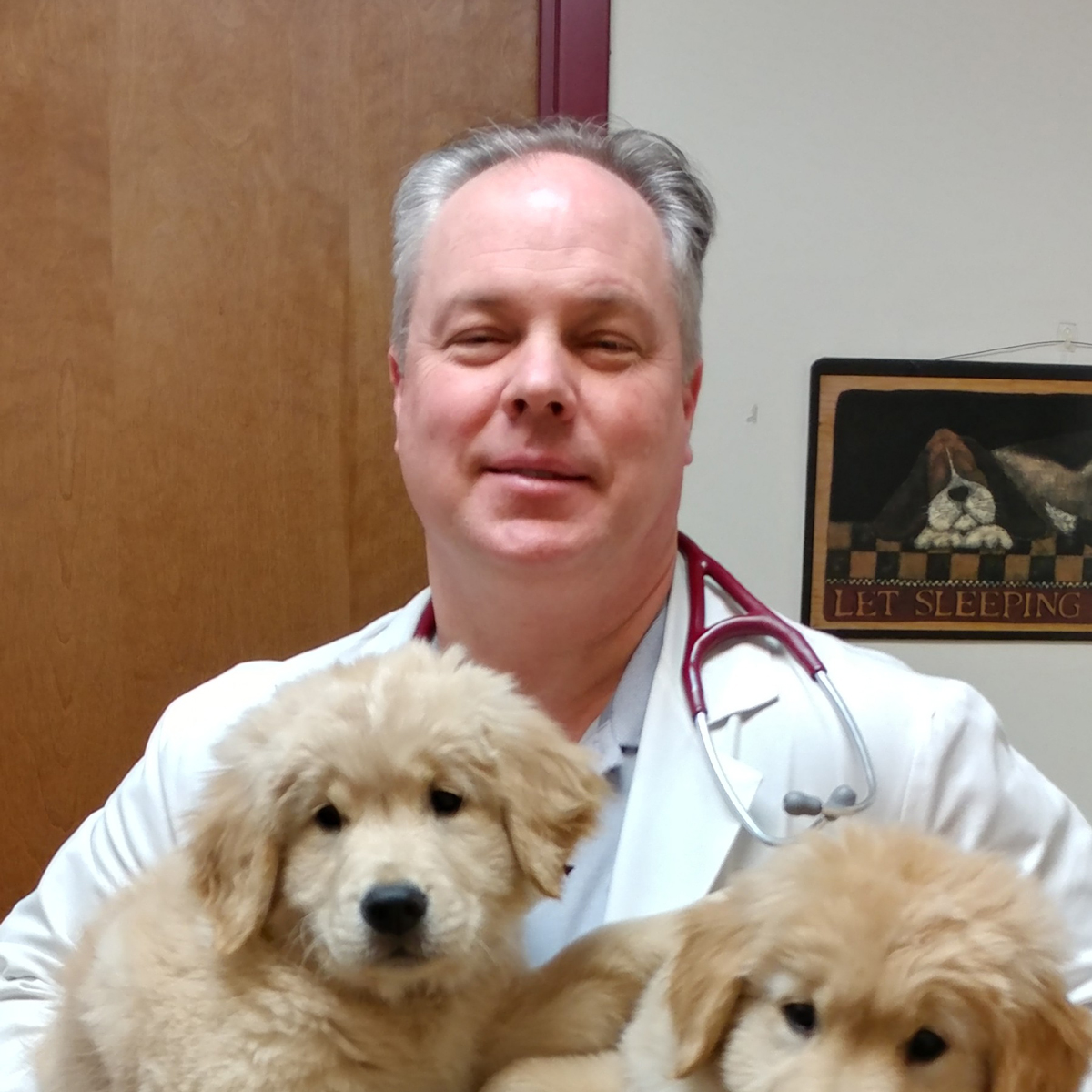 Meet the Team Richboro Veterinary Hospital