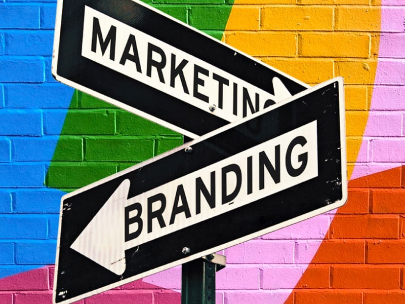 Branding and Marketing Key Strategies for Startup Success Bettermade