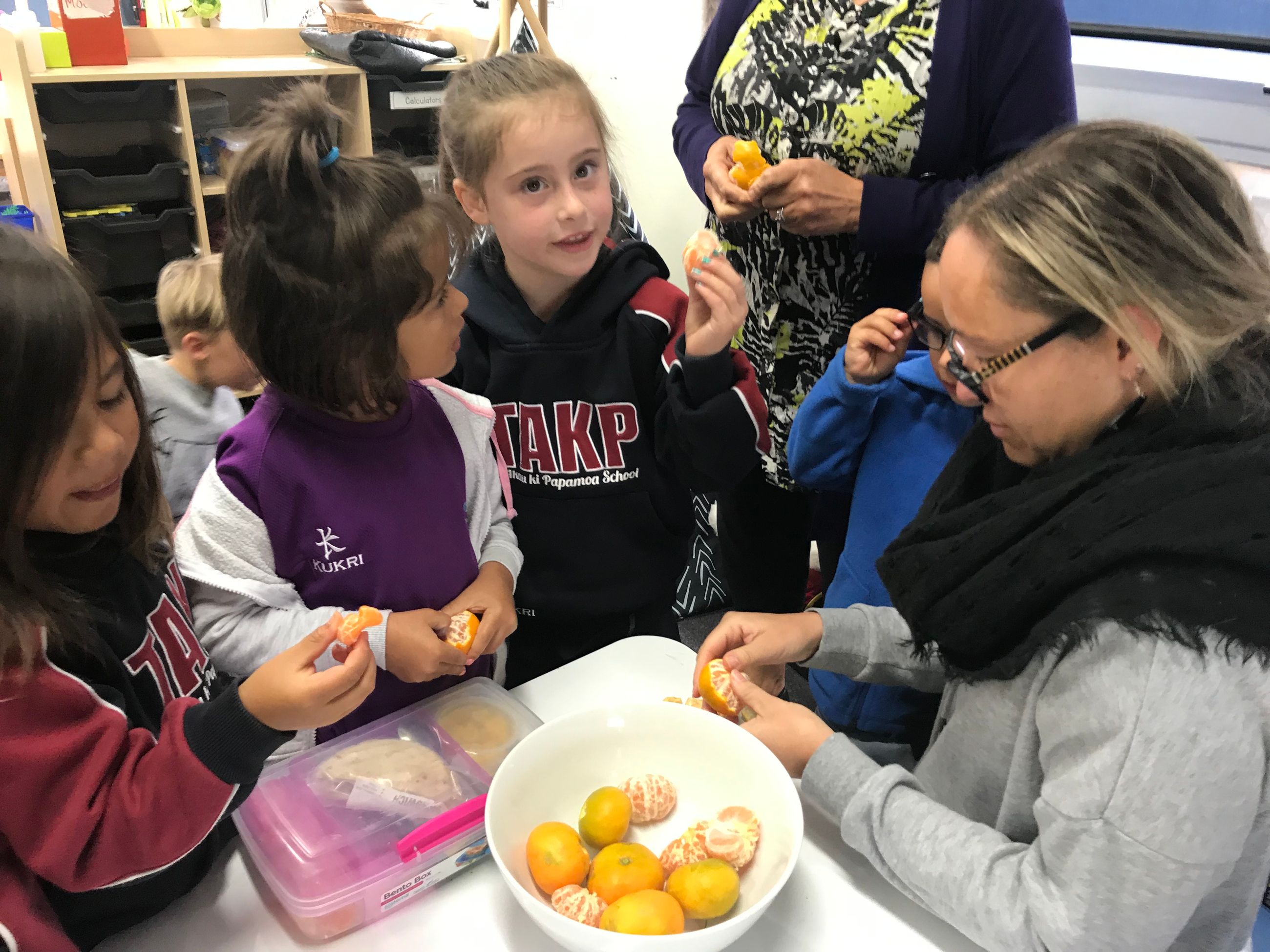 Te Akau Ki Papamoa School