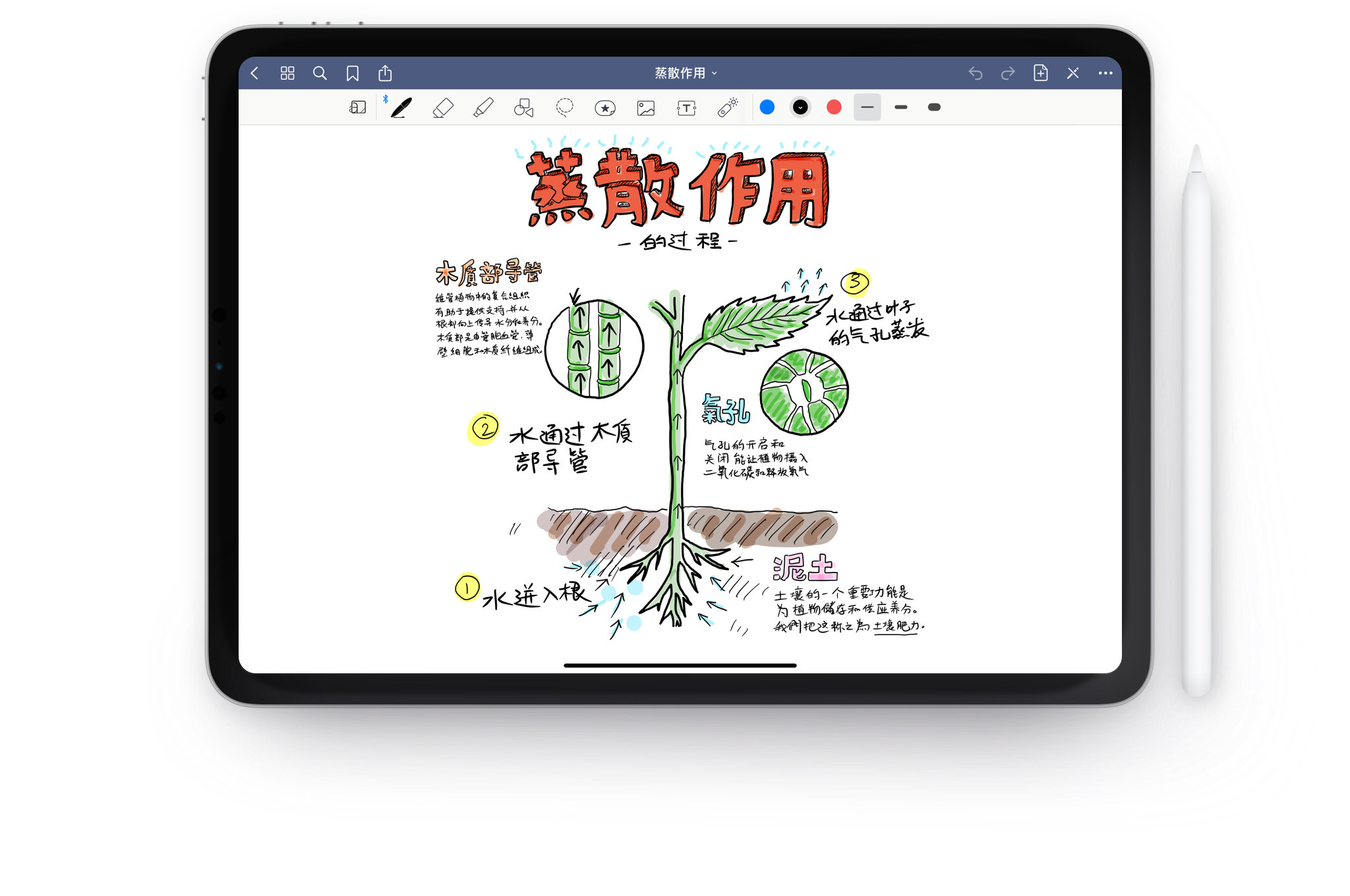 Goodnotes 灵感 永无纸境