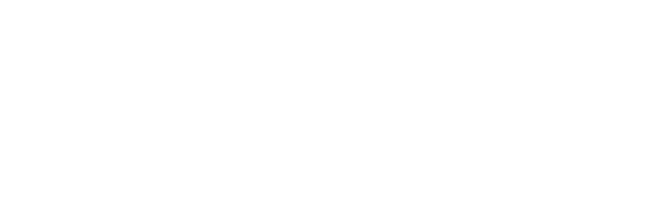 European Union flag
