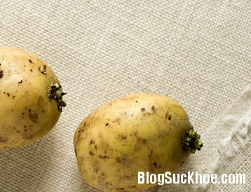 khoai1 Những thực phẩm có hại tuyệt đối không nên dùng