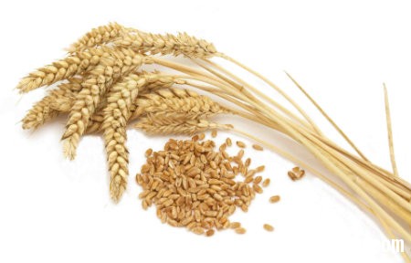 lua mach 5 thực phẩm phụ nữ nên ăn để tăng khả năng sinh nở