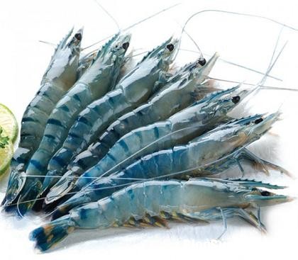 tom Thực phẩm tốt cho sức khỏe mùa thu