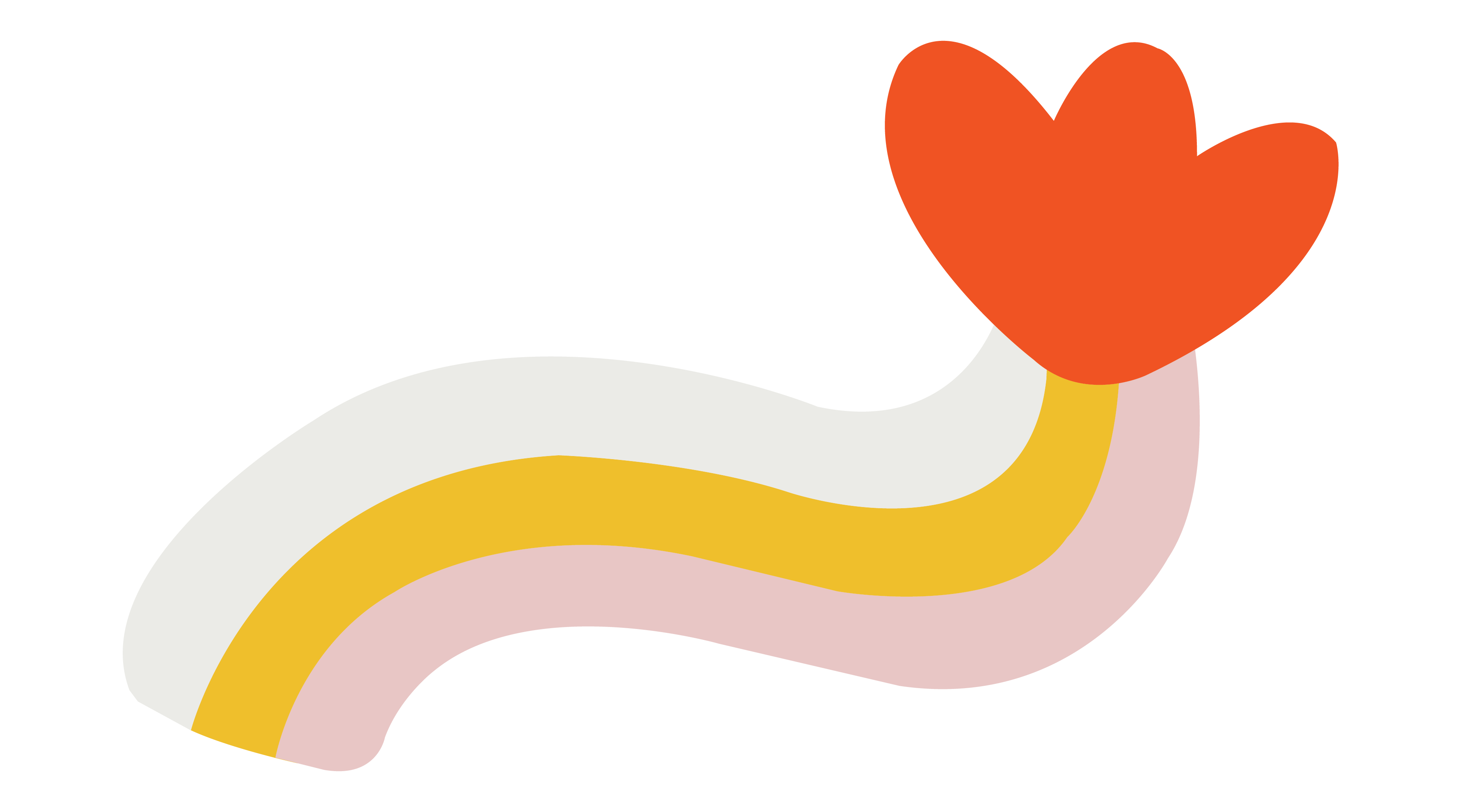 A cute abstract flower