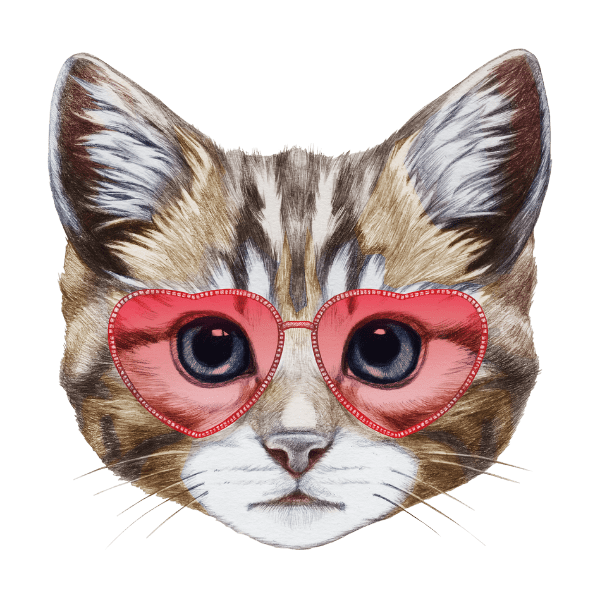 Katze