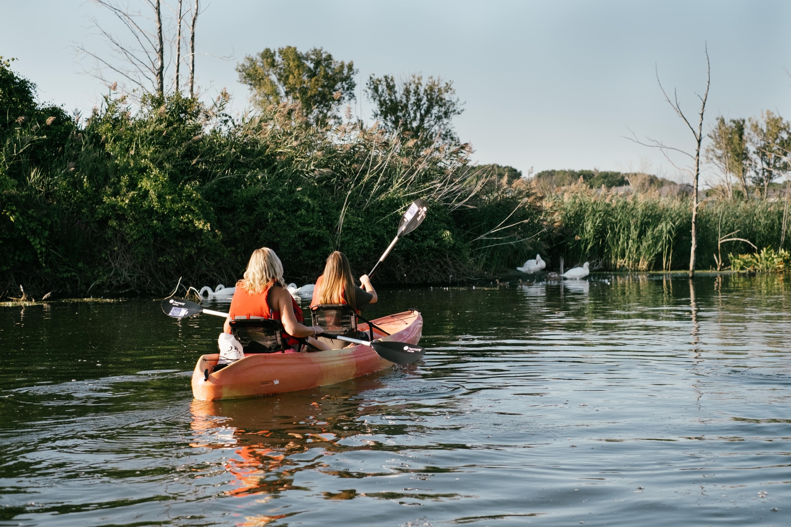 Lake Michigan Kayak & Paddleboard Rentals Third Coast Paddling