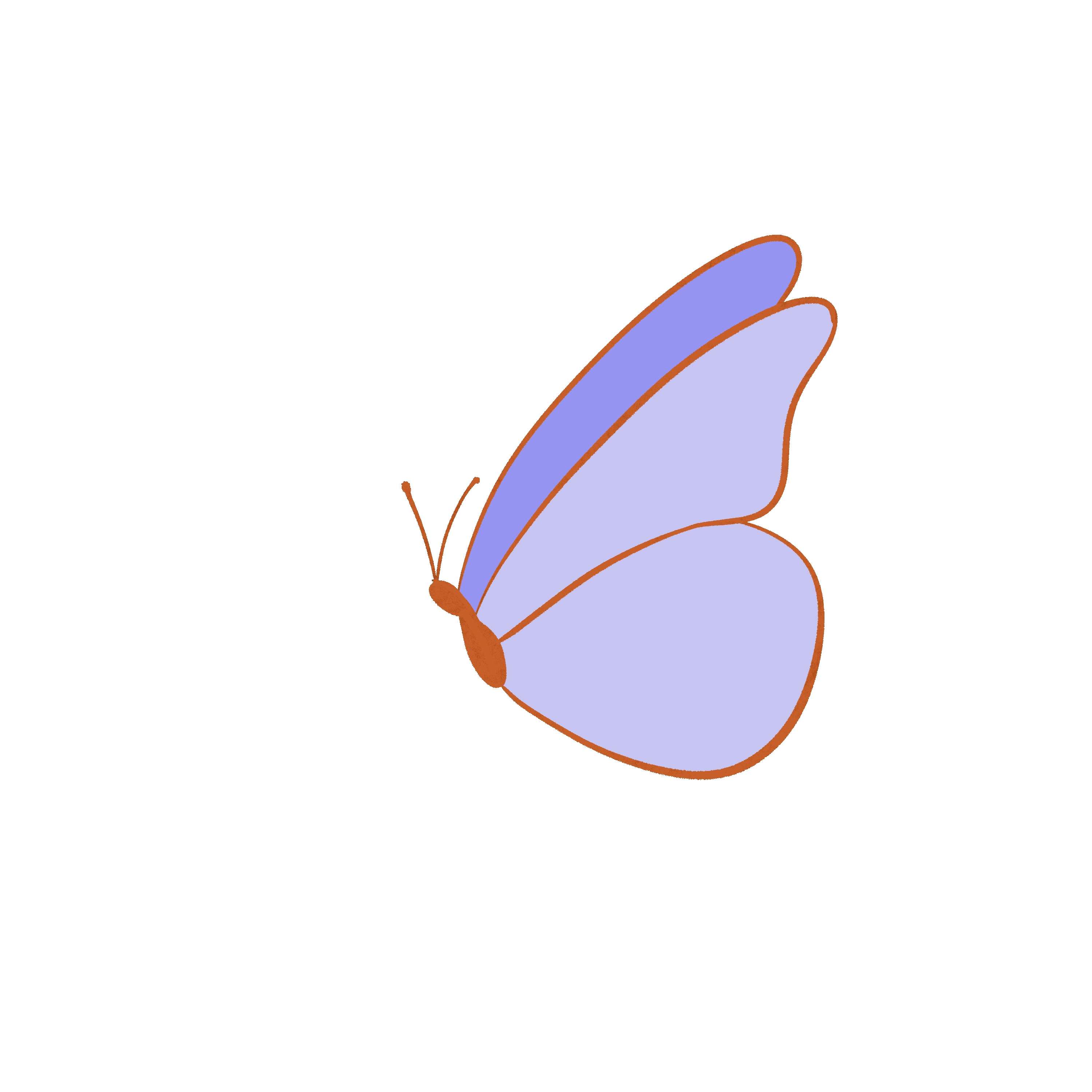 butterfly-right