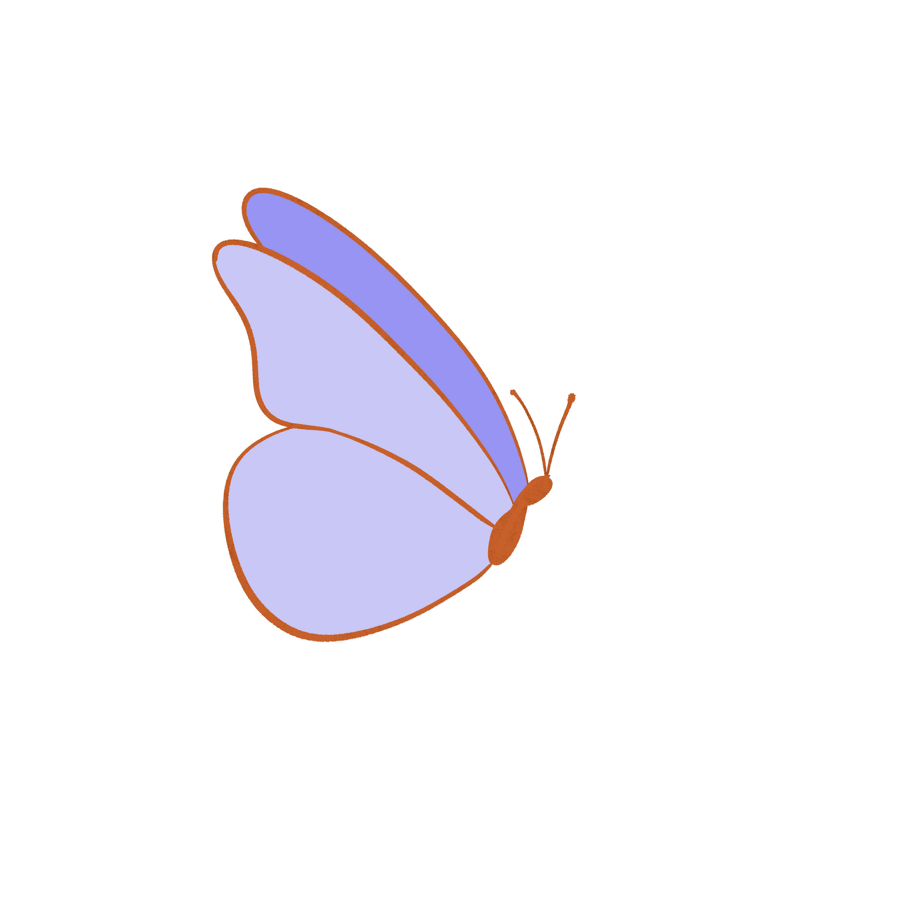 butterfly-left