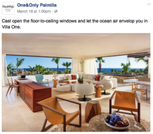 one & only palmilla Facebook