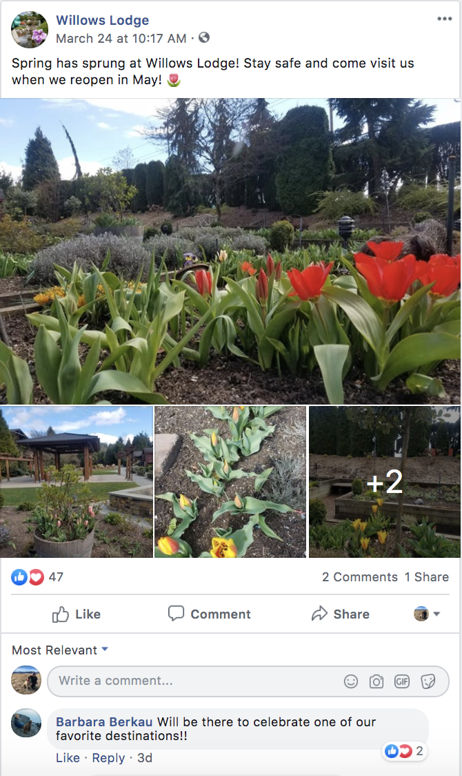screenshot of facebook post from hotel showing tulips