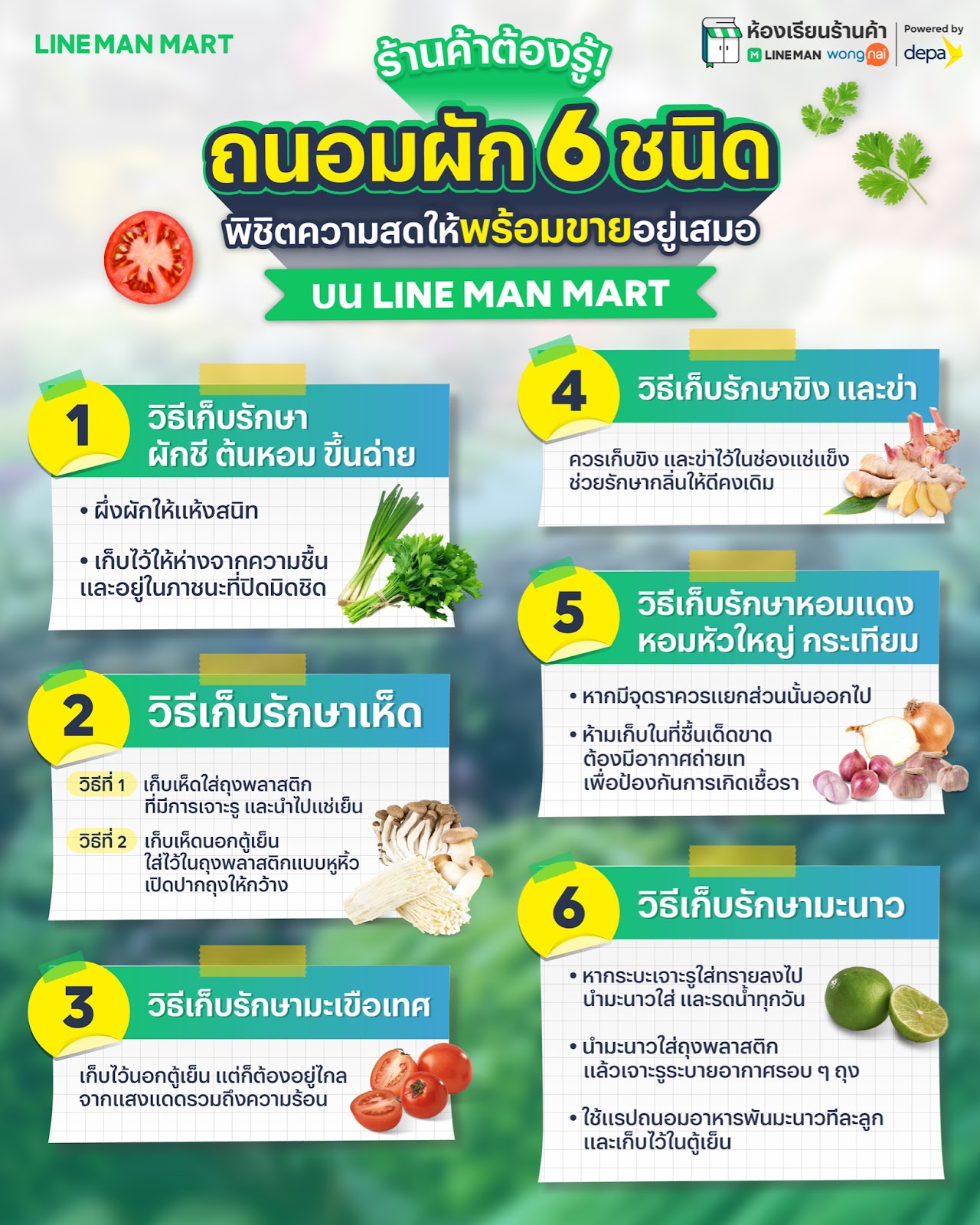 ร้านค้าต้องรู้! ผักสด 6 ชนิด พิชิตความสดให้พร้อมขายอยู่เสมอ บน LINE MAN ...