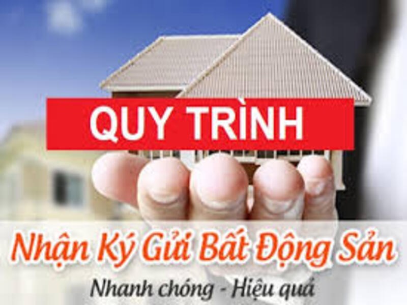 quy trình môi giới bds