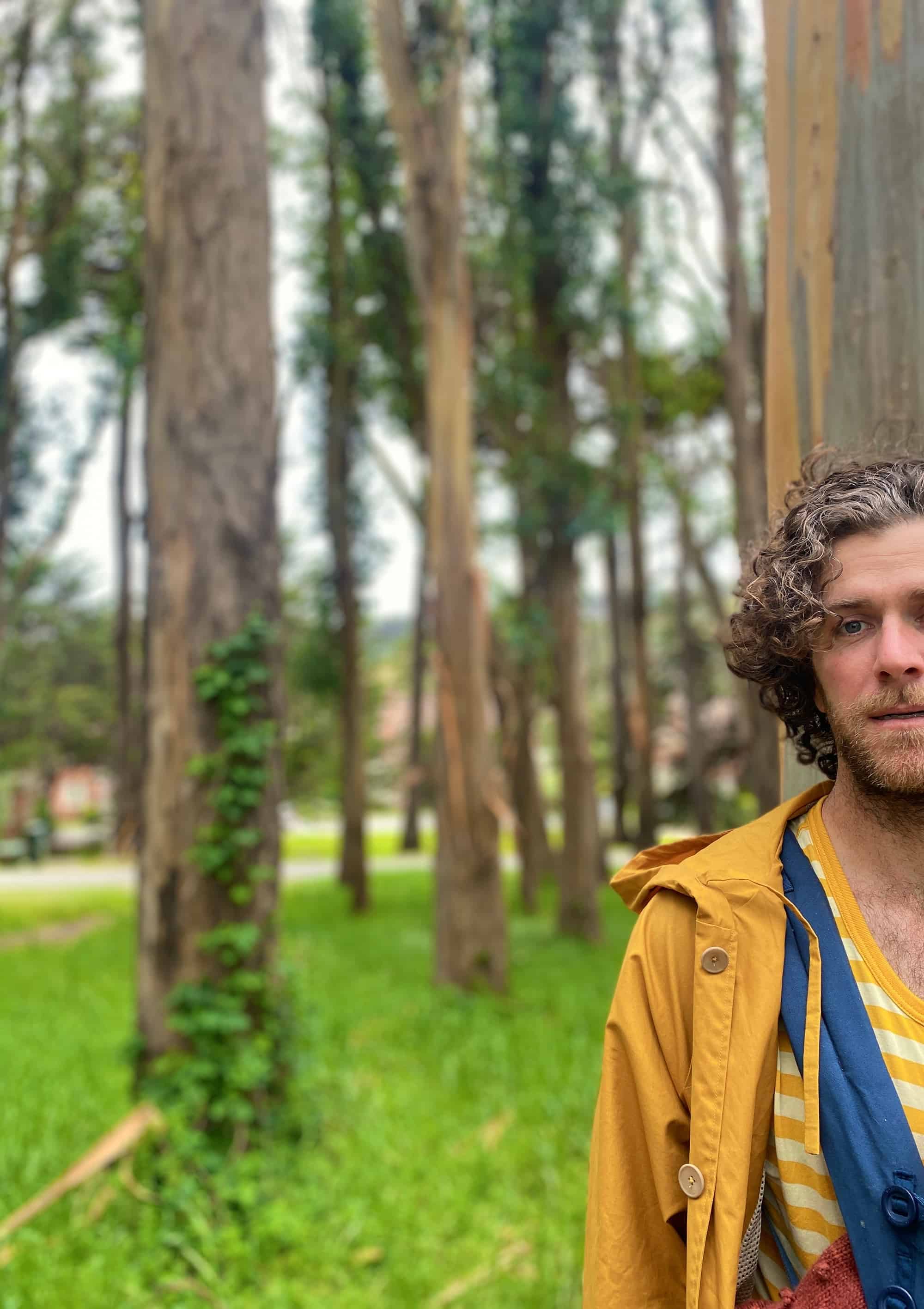 Profile | Brett Land