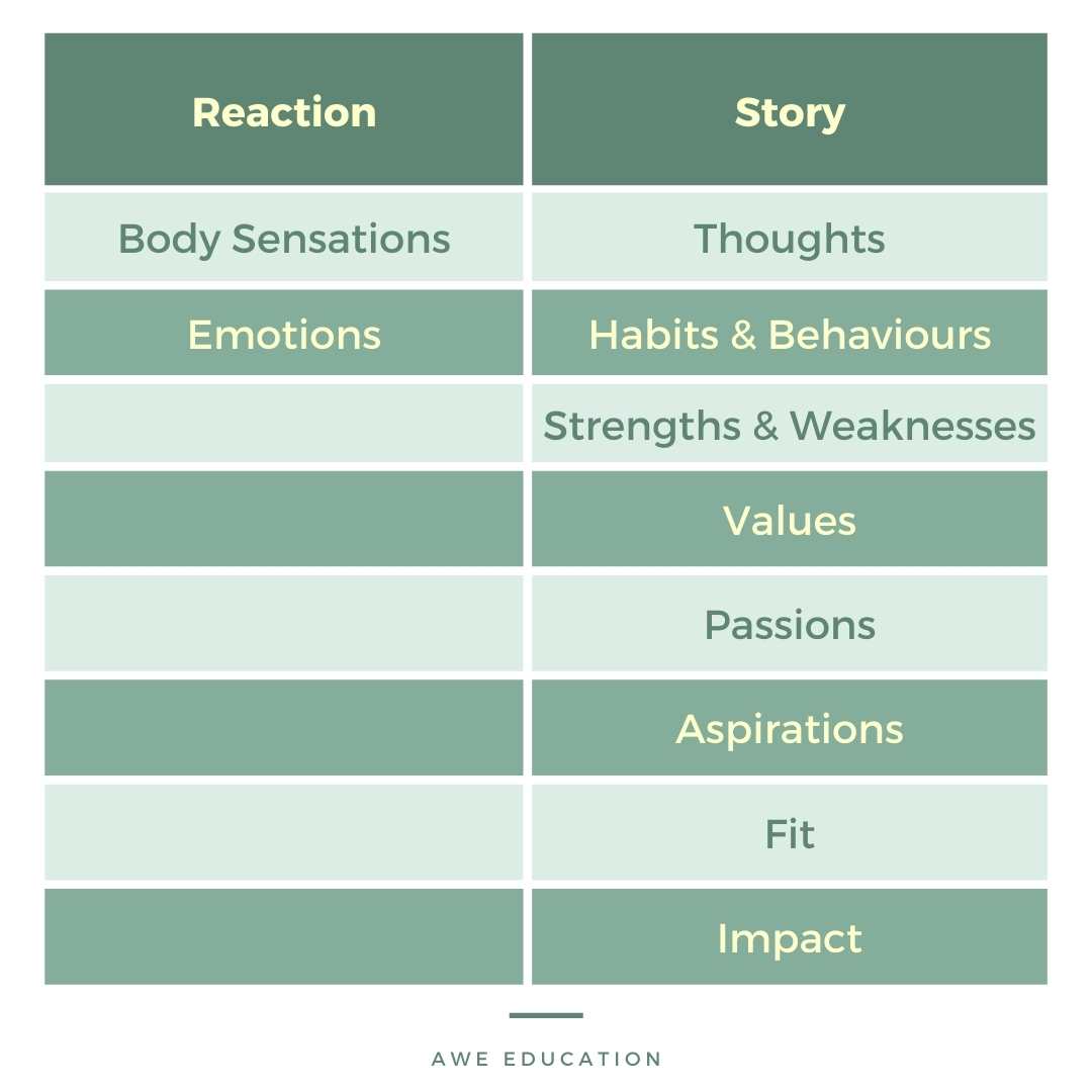 Self-Awareness vs Self-Regulation
