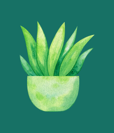 Plant Tree 2