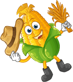 Corn Image