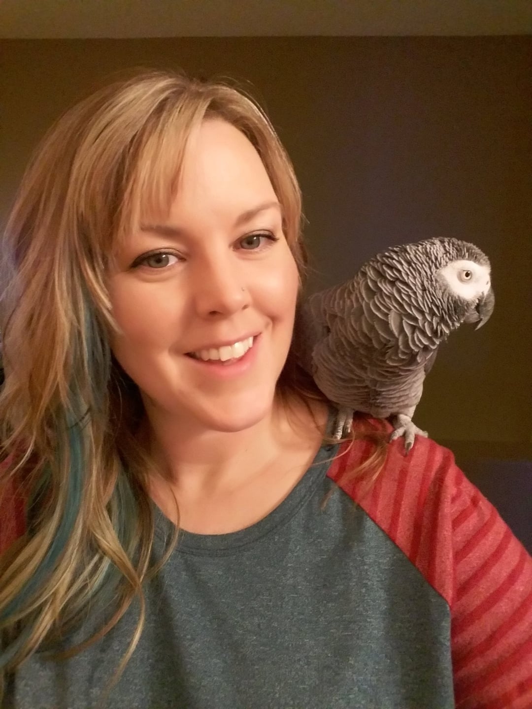 Jollybird Studio Home